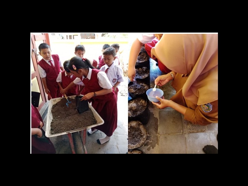Menananm Cabe Bersama Siswa